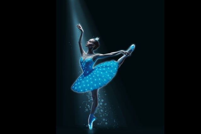 Presales to swan lake symphony of lights: members use these when buying pre-sale tickets