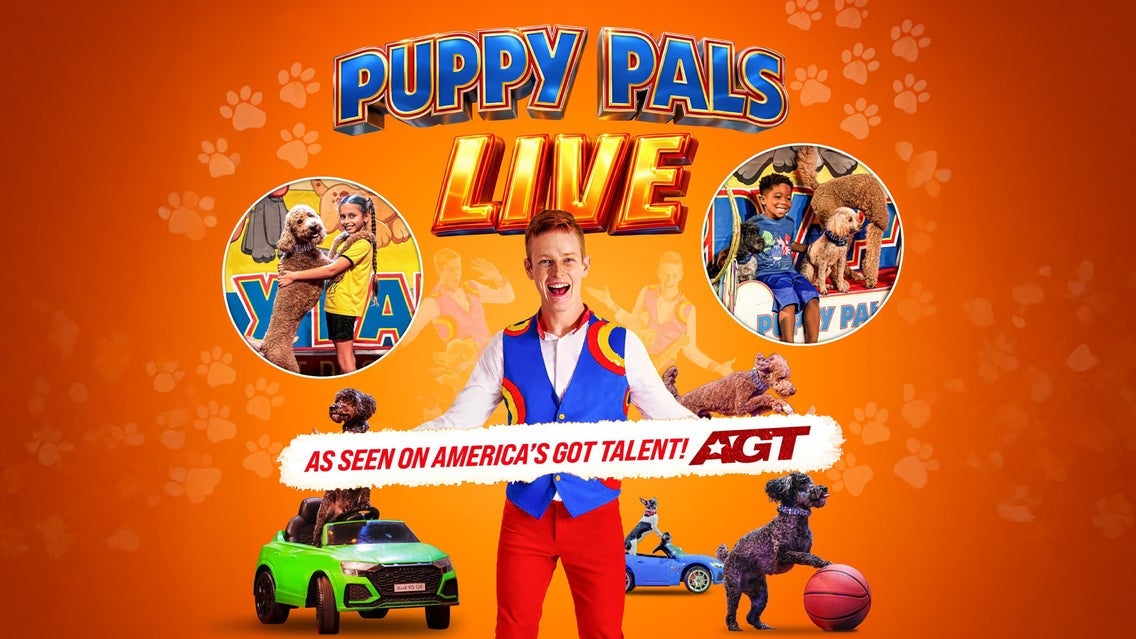 Puppy Pals Live!