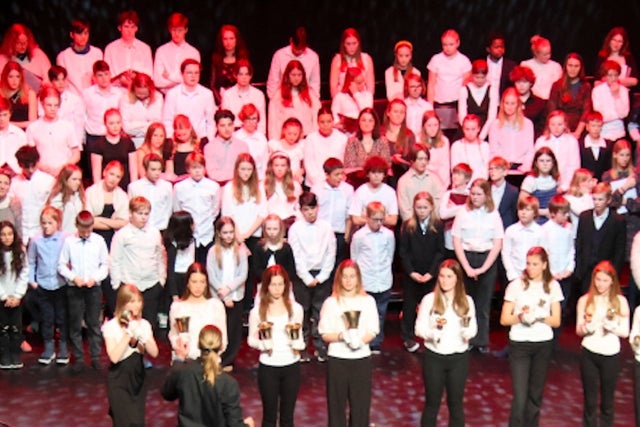 Ticket Reselling Steinerskolens julekonsert