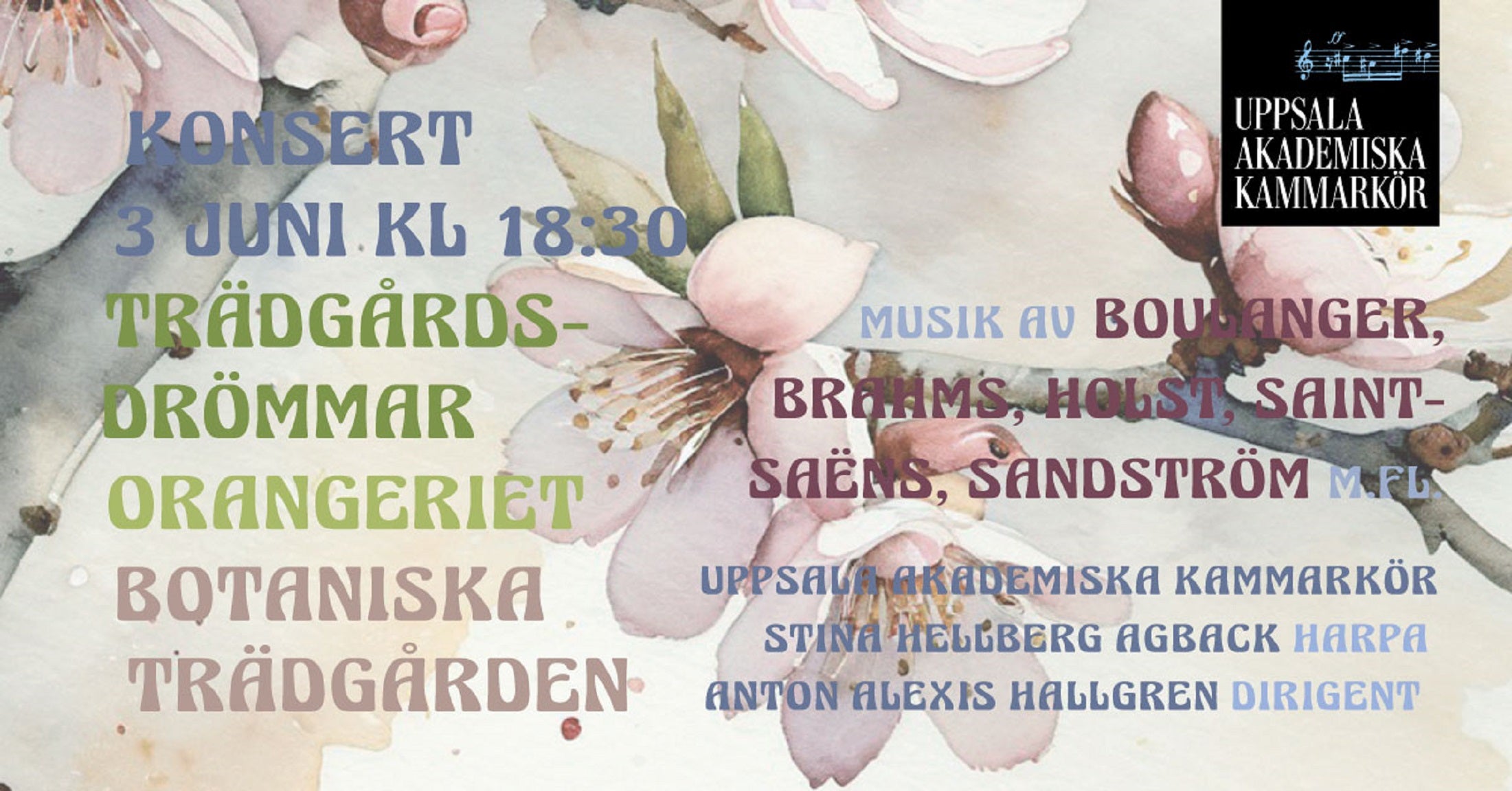 Trädgårdsdrömmar – 2025-06-03