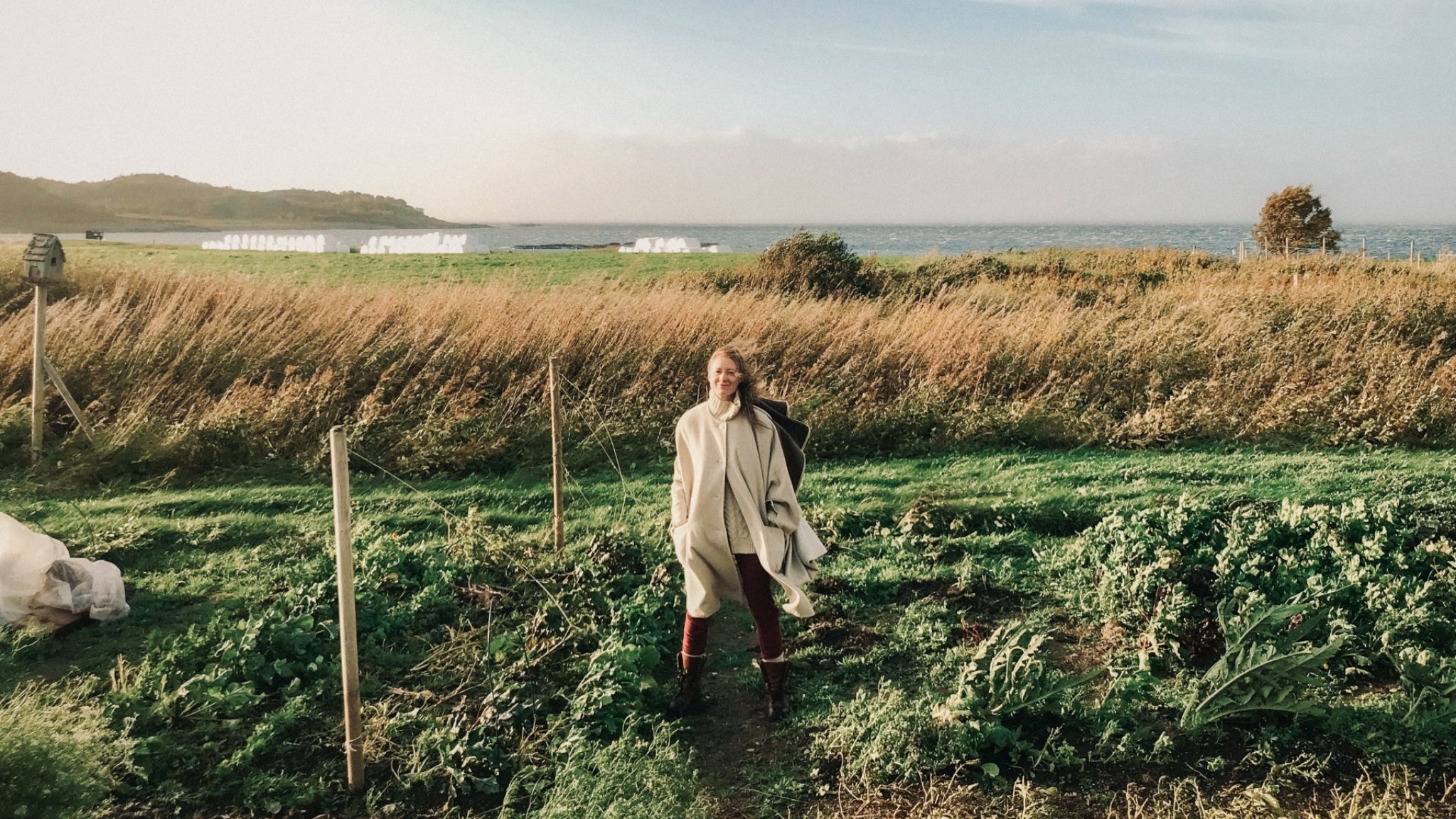 Hoanna – 2026-06-25