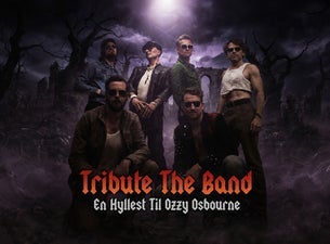 Bilde for arrangement Tribute the Band & The Hitchhikers (support)