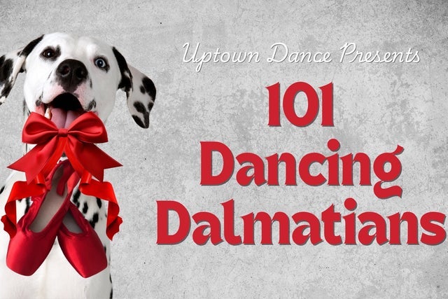 101 Dancing Dalmatians presales in Normal
