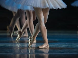 One Night of Ballet