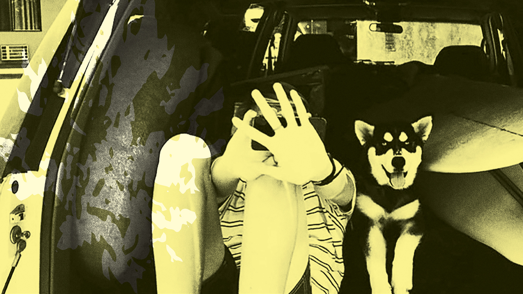 Throwing Muses: Moonlight Concessions at Teragram Ballroom