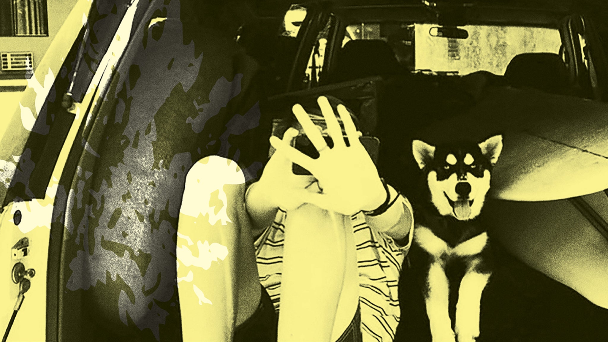 Throwing Muses: Moonlight Concessions