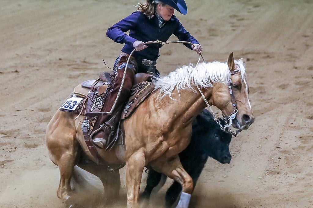 Performance Horse Showdown - Sat. Jan. 9 2pm