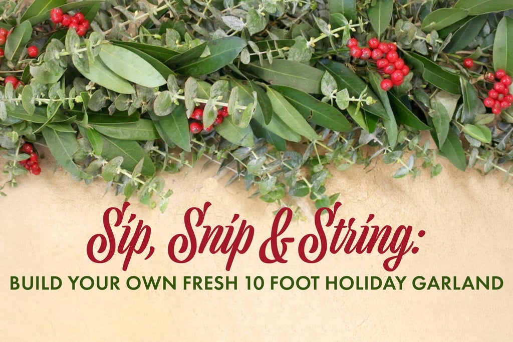 Sip, Snip & String: Build Your Own Fresh 10 Foot Holiday Garland!