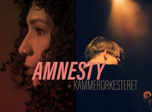 Bilde for arrangement Det Norske Kammerorkester // Amnesty og Kammerorkesteret