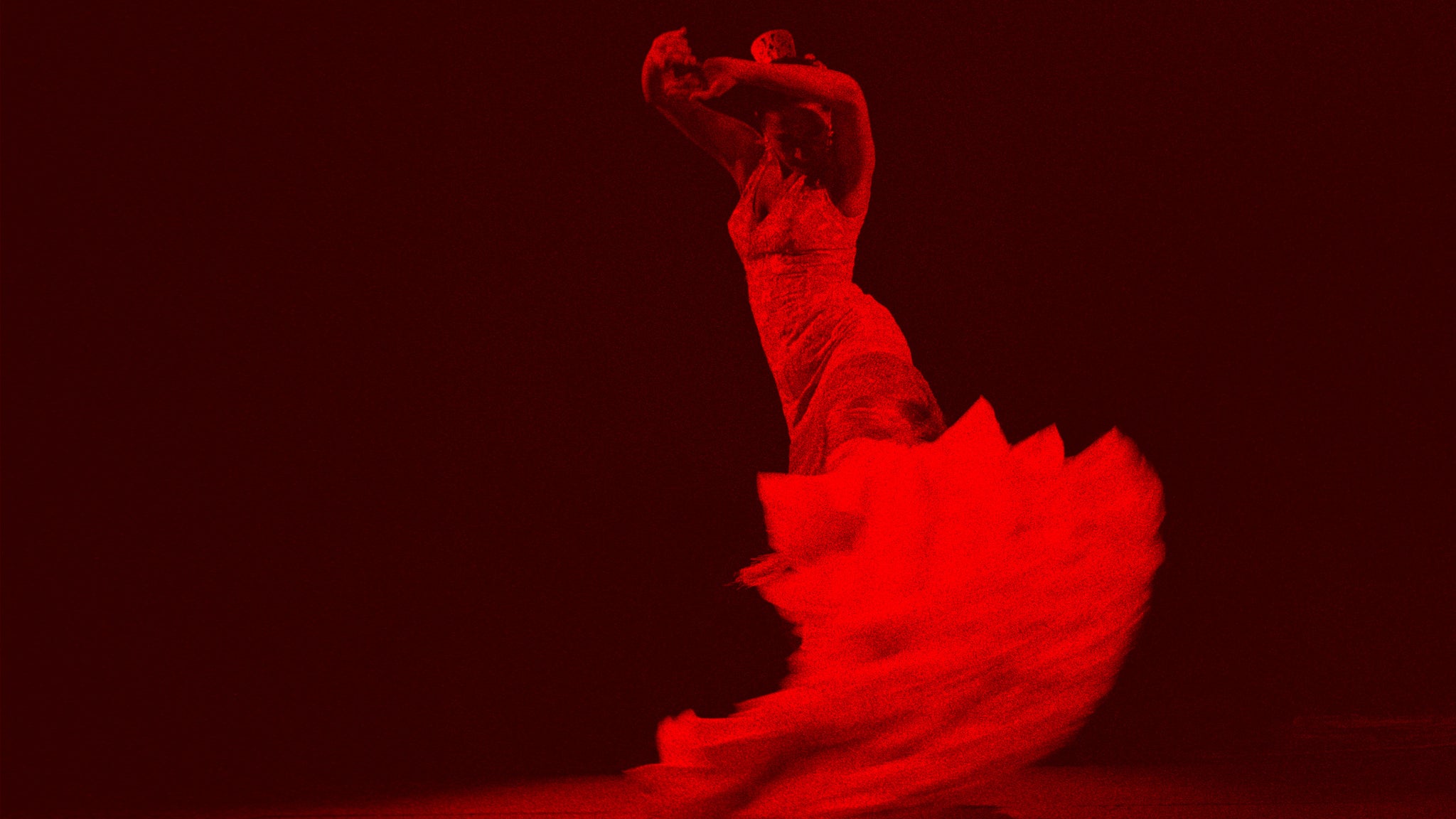 Love Flamenco