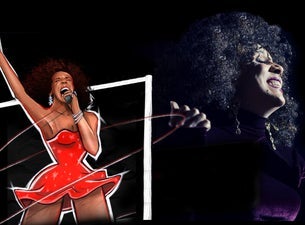 TINA LIVE - The Tina Turner Experience at Cabaret du Casino