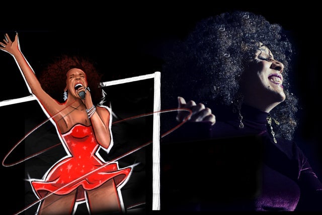TINA LIVE - The Tina Turner Experience in Montreal promotional photo for Prévente presale tickets offer