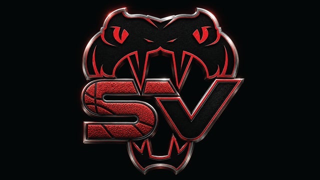 Stars Viper Cheer