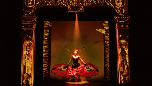 Sasha Velour