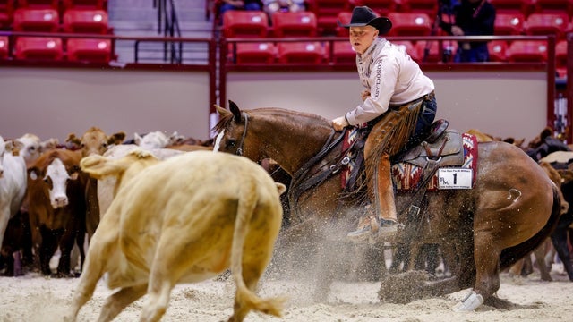 The Run for a Million Cutting Horse Challenge