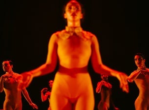 Nederlands Dans Theater — NDT 2 at Meridian Arts Centre