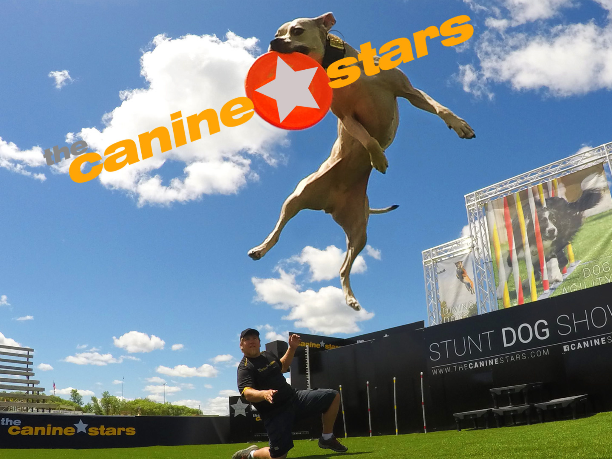 Canine Stars at Palace Theatre Stamford – Stamford, CT