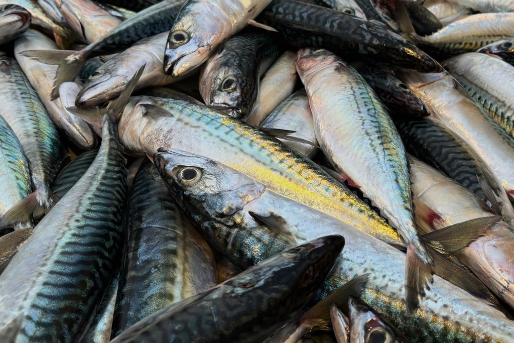 FRÈRES: Mal de mer (sea sick)