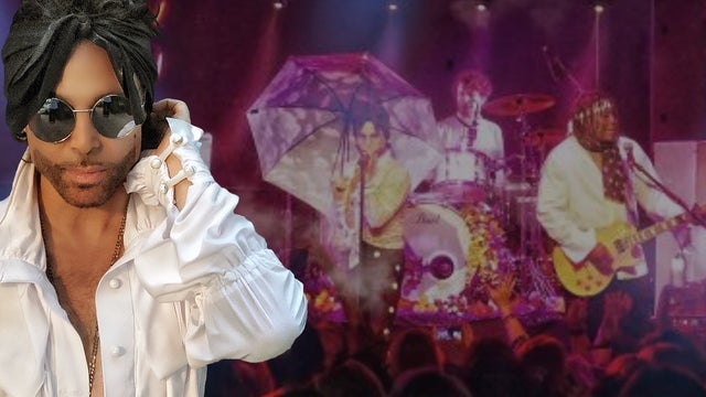 The Purple Xperience