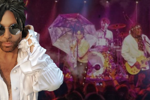 Presales to the purple xperience: members use these when buying pre-sale tickets