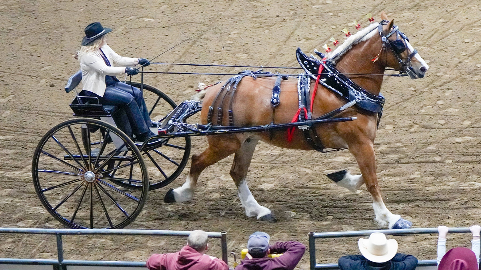 Draft Horse Show - Fri. Jan. 22 1pm