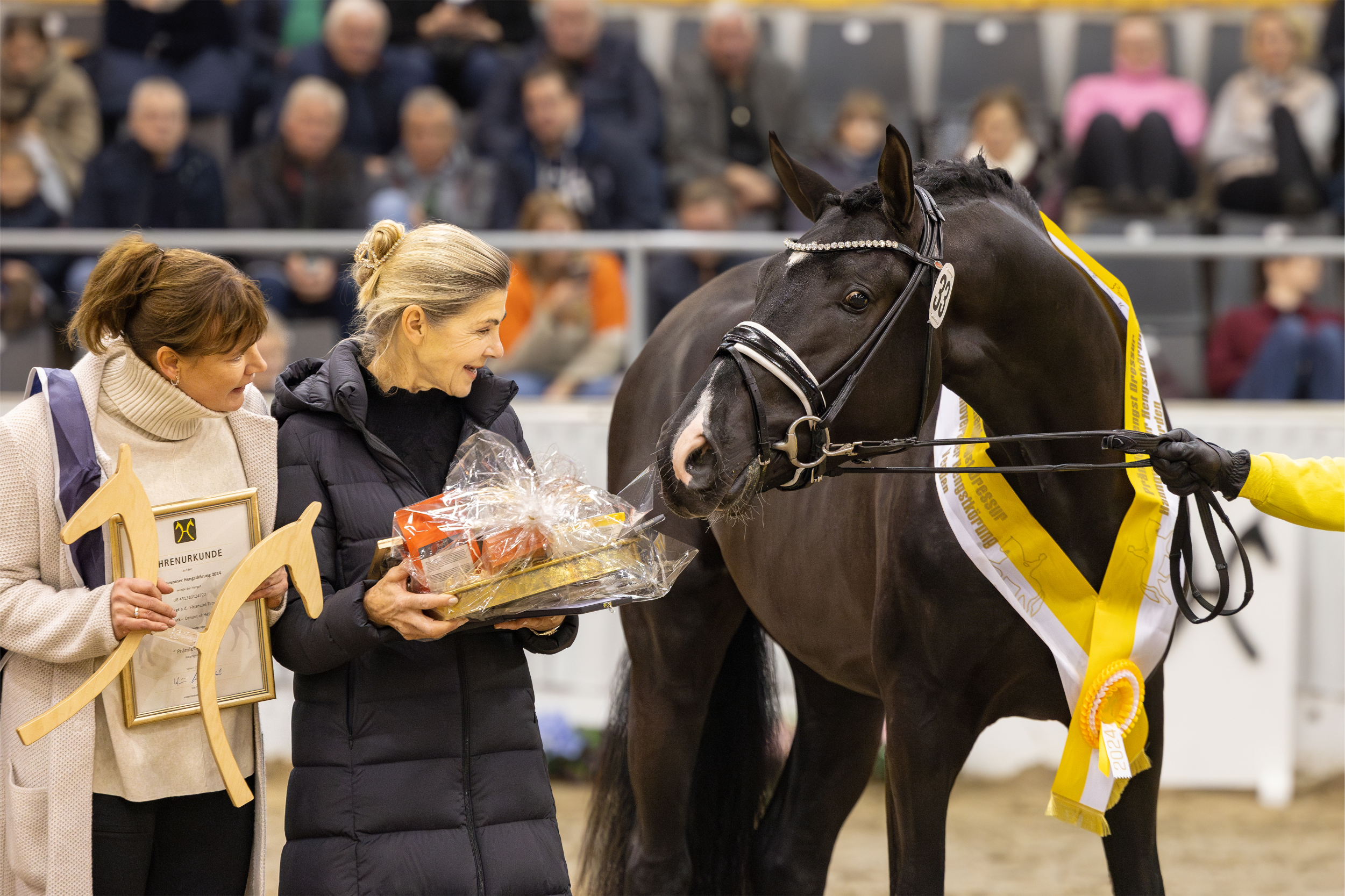 Körung und Hengstmarkt - Dressurhengste: Körung + Auktion