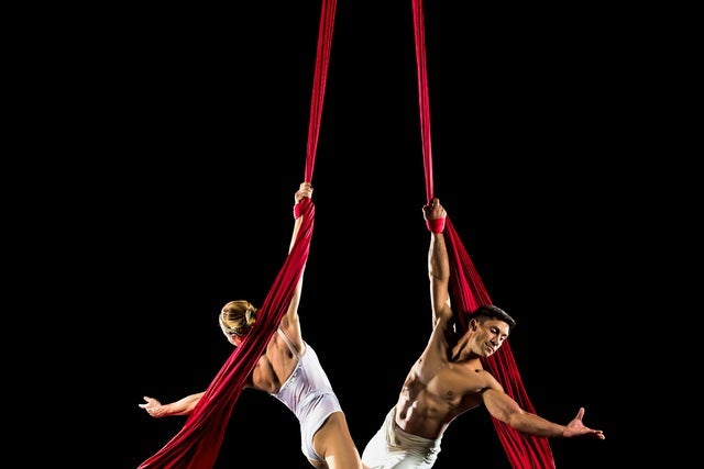 Presale codes for asheville symphony: cirque de la symphonie: members use these when buying pre-sale tickets