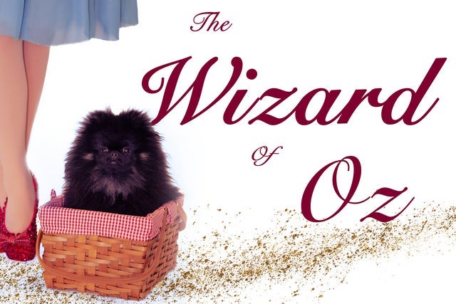 Presales to wizard of oz: members use these when buying pre-sale tickets