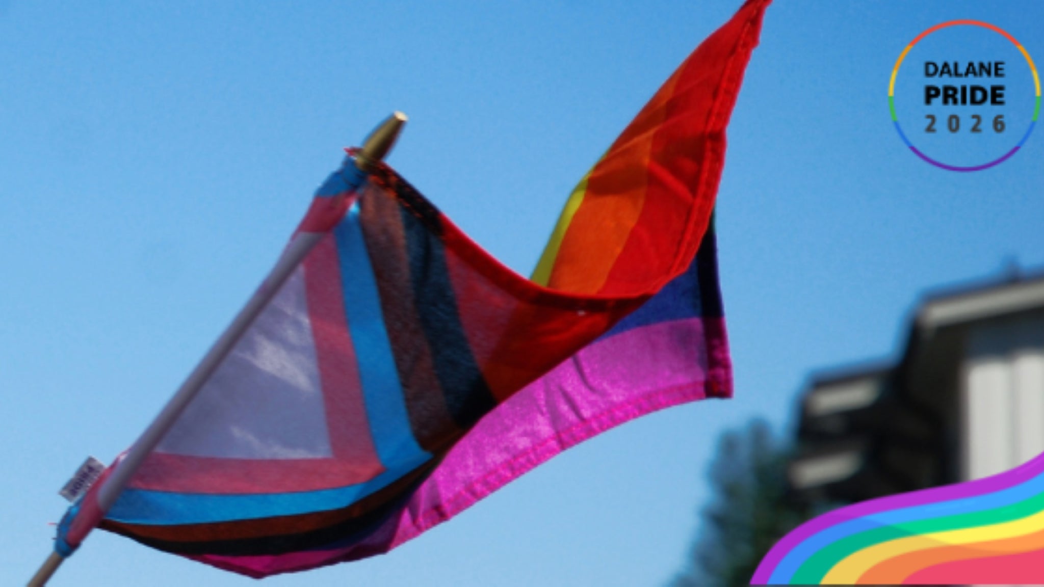 Drag-Bingo, Dalane Pride