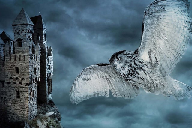 North Carolina Symphony - Halloween At Hogwarts show poster