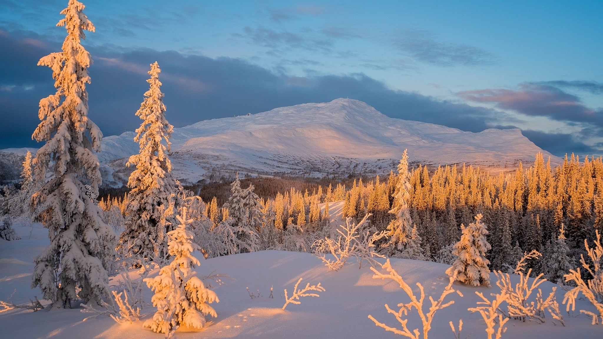 Vinterresa av Franz Schubert – 2026-01-18