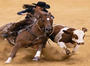 Run For A Million.  Cow Horse Challenge