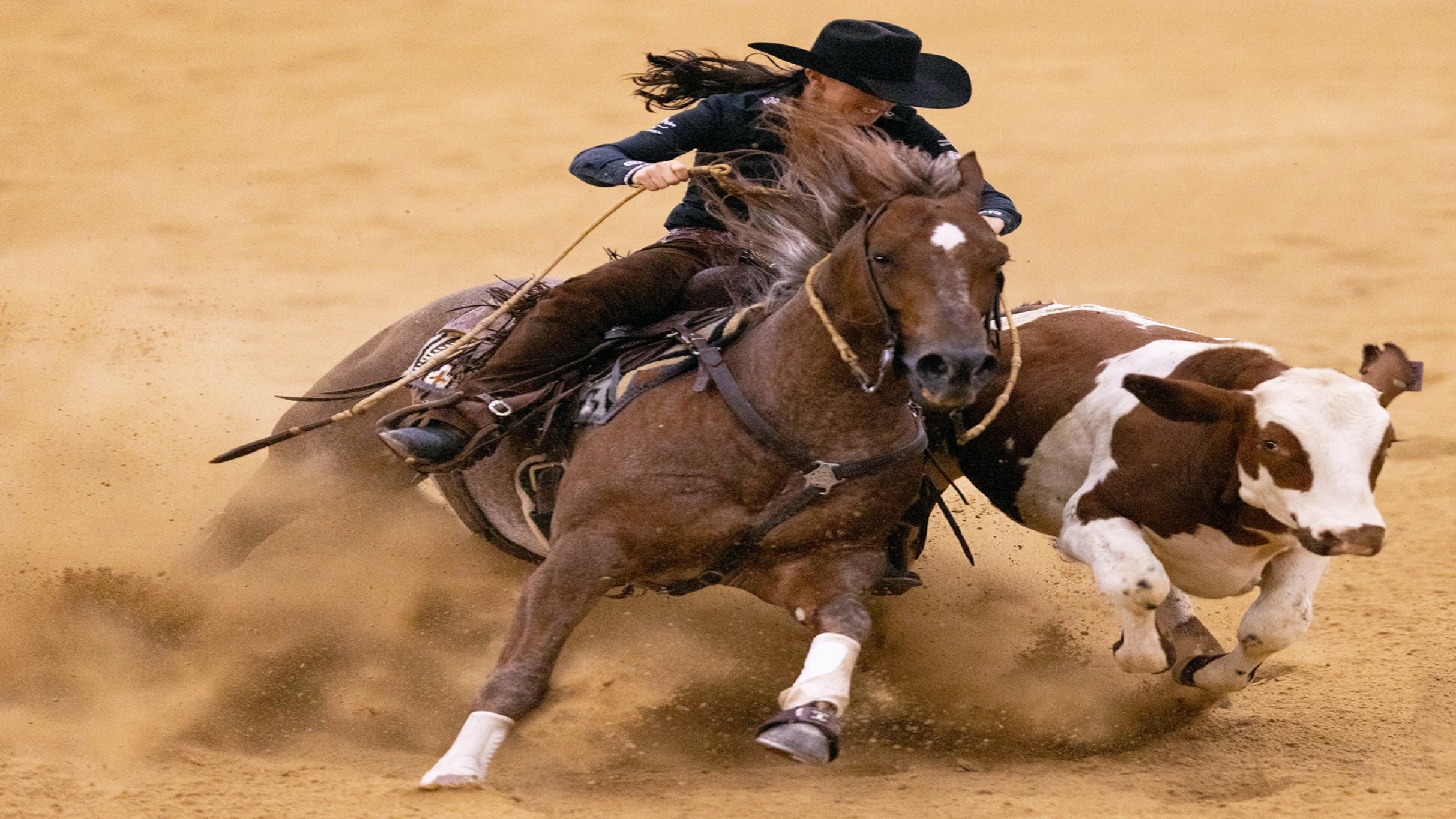 Run For A Million.  Cow Horse Challenge at South Point Arena at South Point Hotel Casino and Spa – Las Vegas, NV