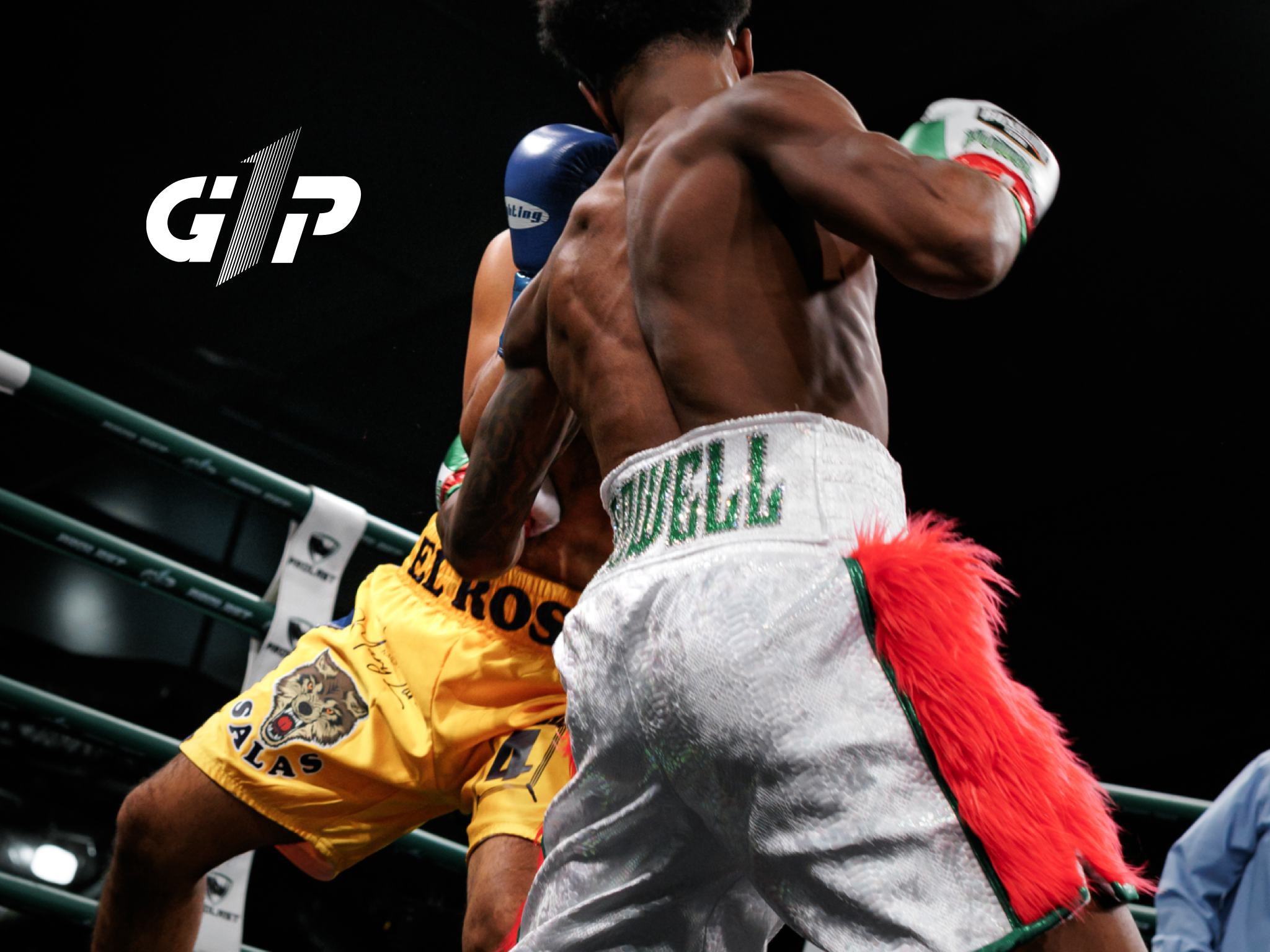 PRO BOXING: NIGHT OF CHAMPIONS