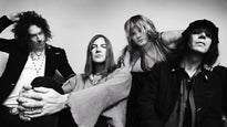 The Dandy Warhols Image