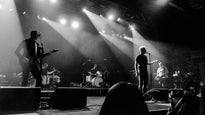 live photos