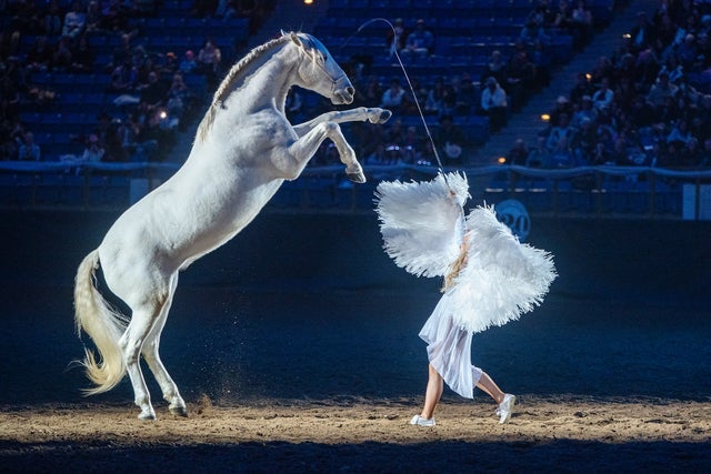 An Evening of Dancing Horses presented by 9News - Thur. Jan. 21 7pm