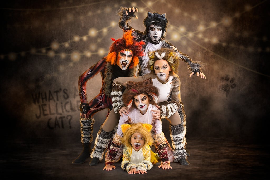 CATS - Young Actors Edition (NZSL & Audio Performance)