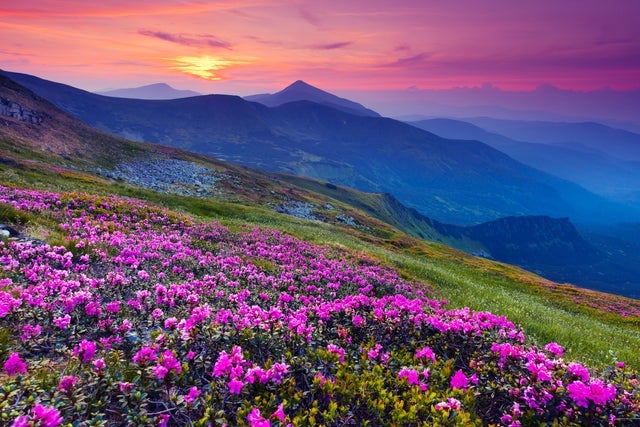 Spring Raeligh North Carolina Symphony - Appalachian Spring Raleigh: Tickets, Presale ...