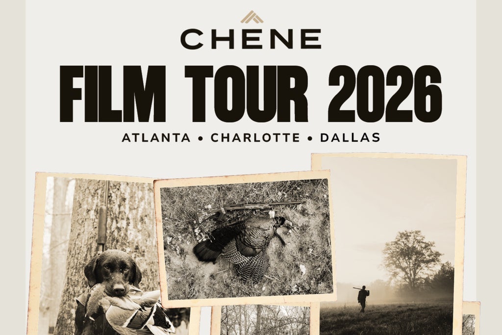 Chêne
