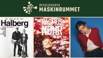 Oplevelsescenter Maskinrummet Skagen - Udendors koncerter