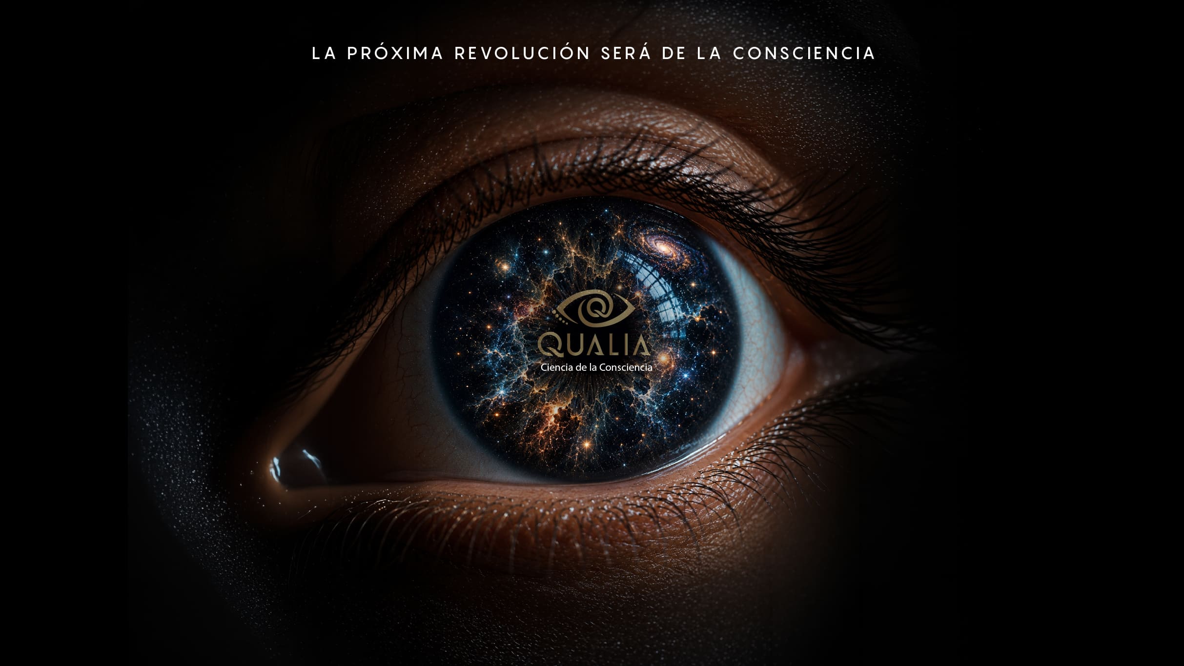Qualia, 2a Cumbre Internacional de Ciencia de la Consciencia