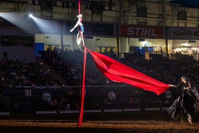 An Evening of Dancing Horses presented by 9News - Fri. Jan. 22 7pm
