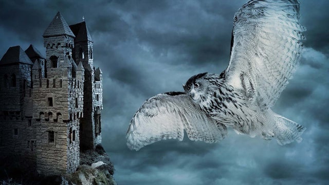 North Carolina Symphony - Halloween At Hogwarts