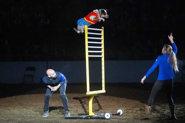 Xtreme Dogs - Sat. Jan. 16 6:30pm