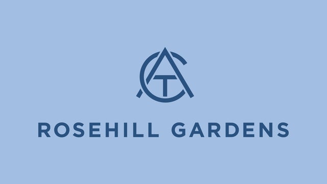Hill Stakes Day