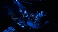live photos