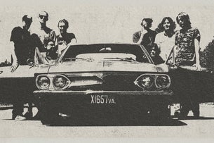 Dogwood Tales & Euphoria Again