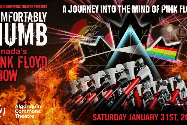Comfortably Numb Canada's Pink Floyd Show