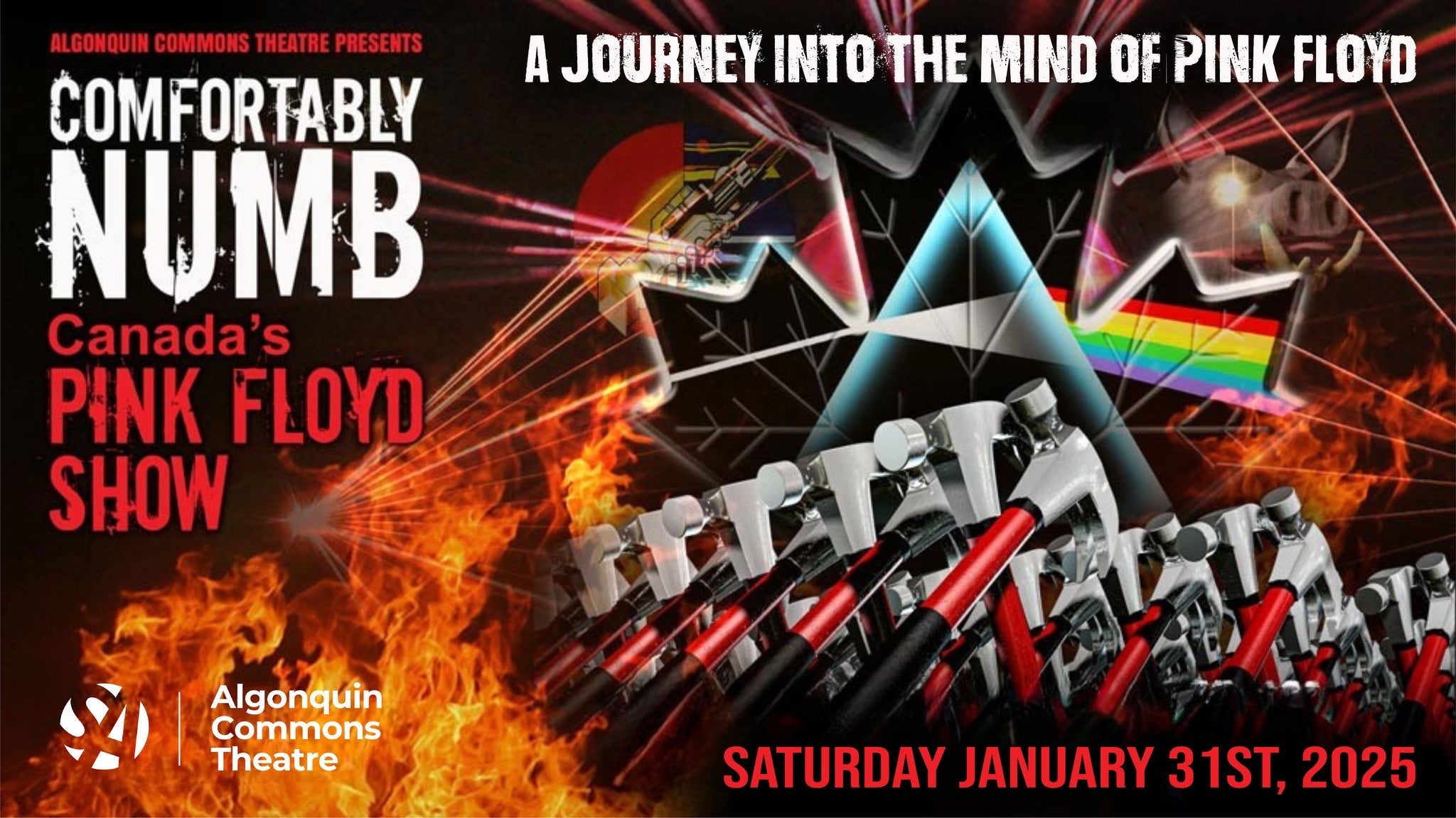 Comfortably Numb Canada's Pink Floyd Show
